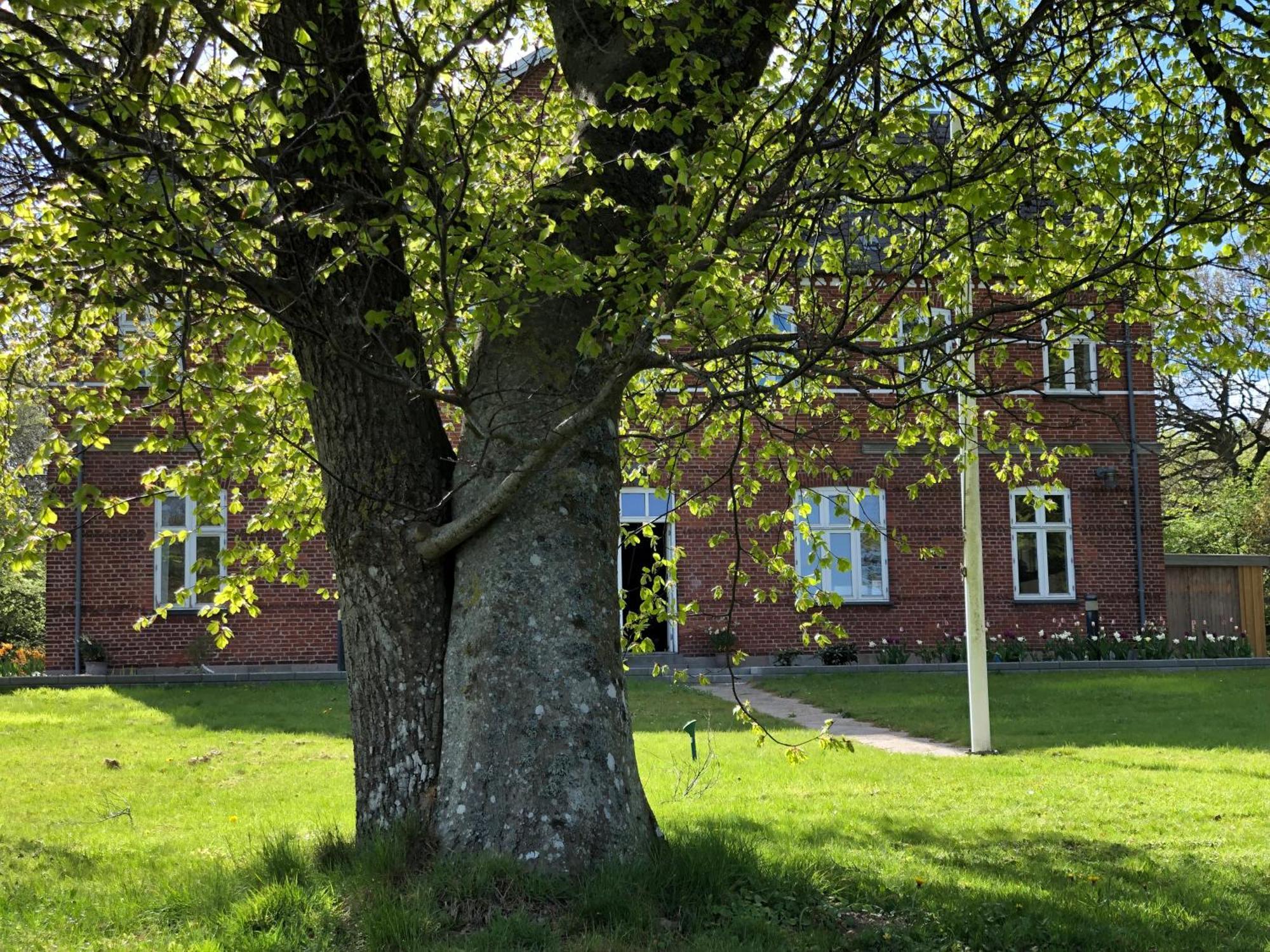 Rolykke Hotel Saeby  Exterior photo